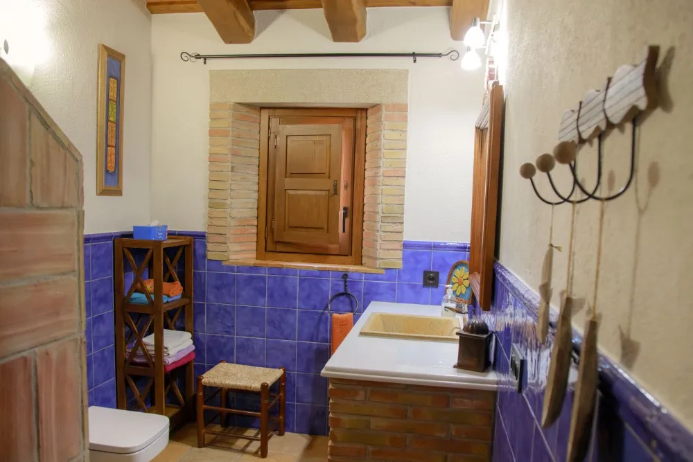 Dutxa, lavabo i vàter interior