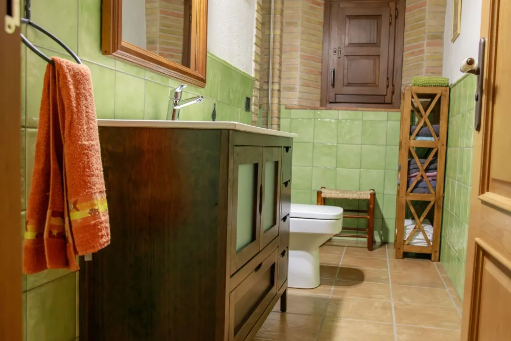 Dutxa, lavabo i vàter interior