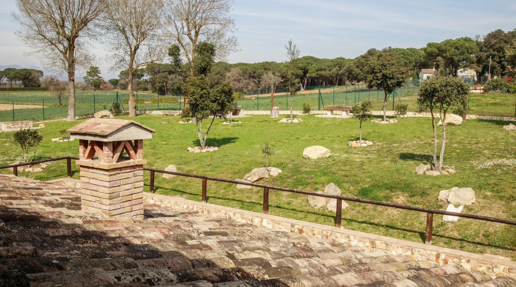 Paisatge natural verd exuberant